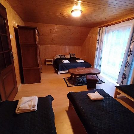 Willa Domek nad rzeczką Zabnica Zewnętrze zdjęcie