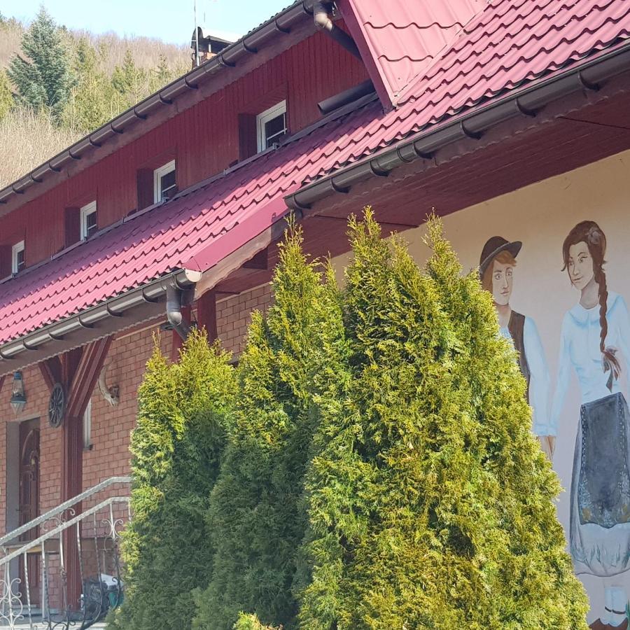 Willa Domek nad rzeczką Zabnica Zewnętrze zdjęcie
